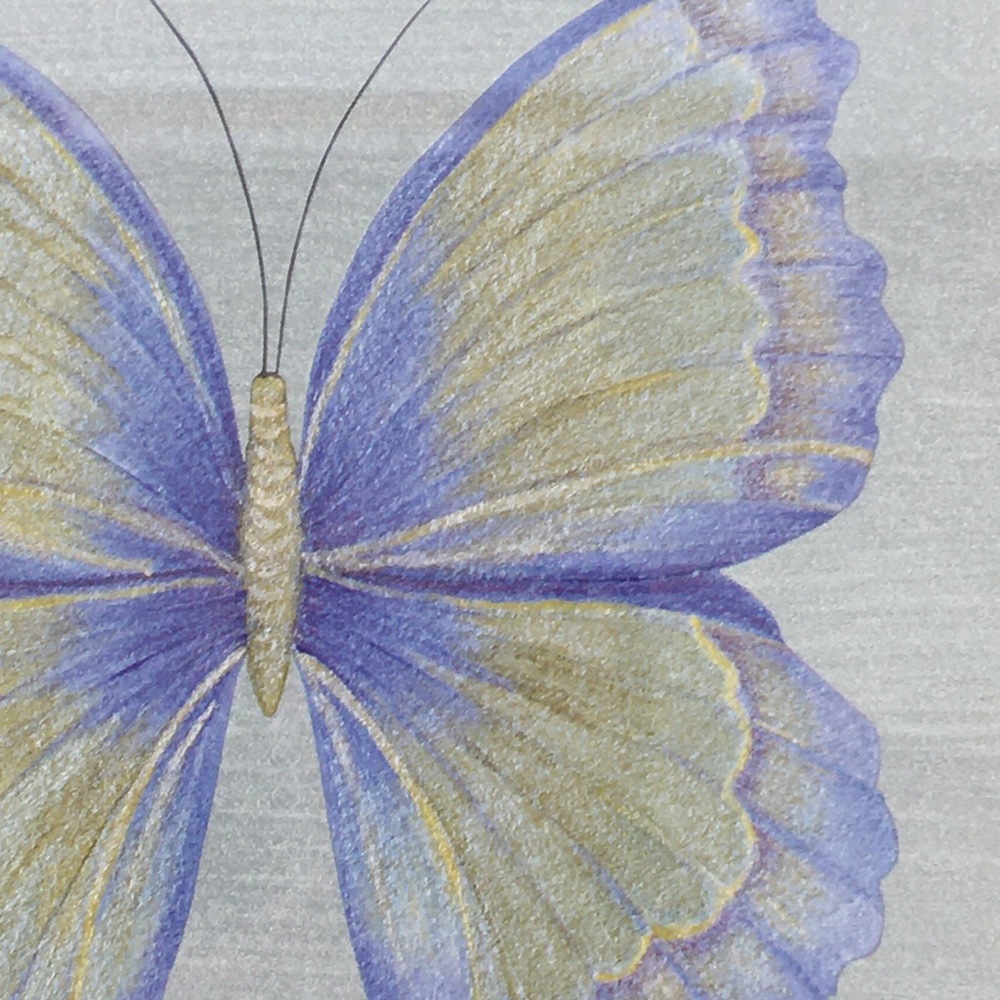 Purple Butterfly Framed Print